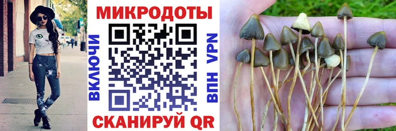 Псилоцибиновые грибы Magic Shrooms  маркетплейс клад  Кызыл  OMG сайт 